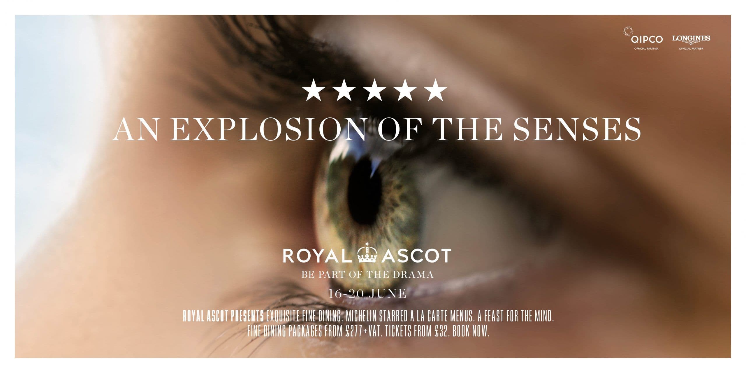 ascot 48 5